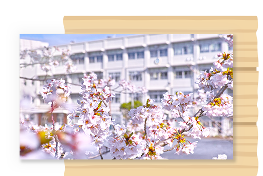 その他の地域活動